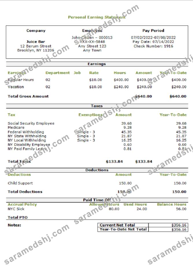 USA personal earning statement template
